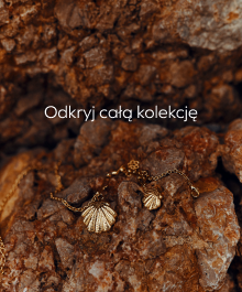 zobacz całą kolekcję