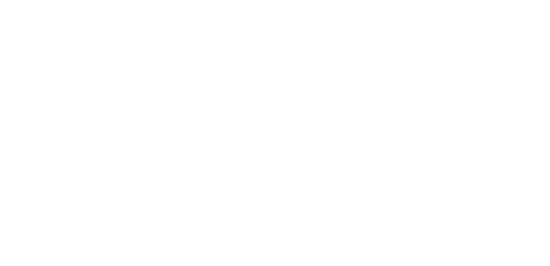 Party Animal